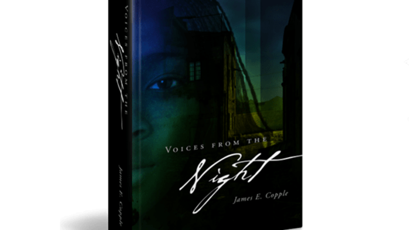 vfn-blog